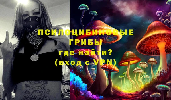 бошки Краснотурьинск
