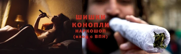 ГАЛЛЮЦИНОГЕННЫЕ ГРИБЫ Костерёво