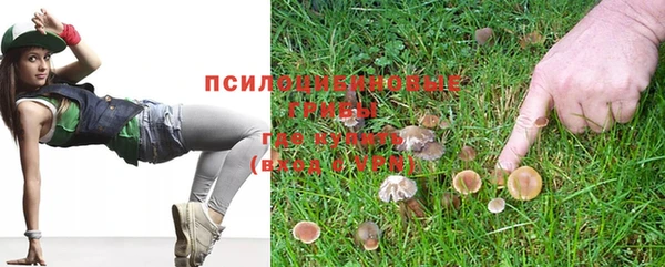 амф Краснослободск