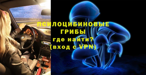 амф Краснослободск
